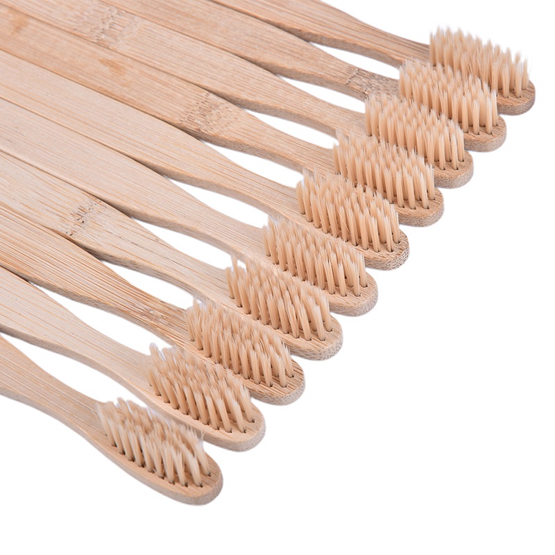 Spazzolino da denti in bambù e - Biodegradable Eco Case recensione e prezzo